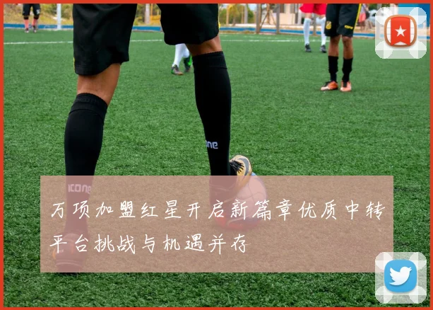 万项加盟红星开启新篇章优质中转平台挑战与机遇并存